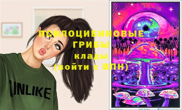 винт Балахна