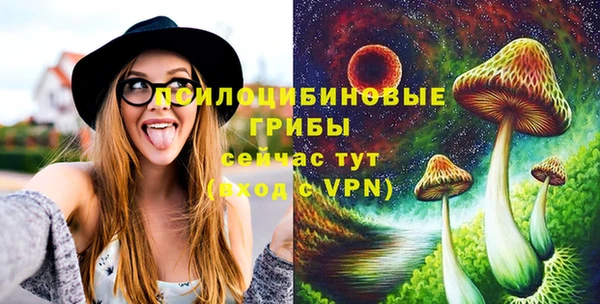 винт Балахна