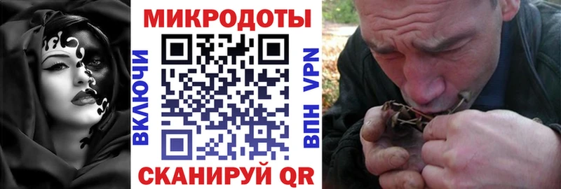где можно купить наркотик  Новозыбков  Псилоцибиновые грибы Cubensis 